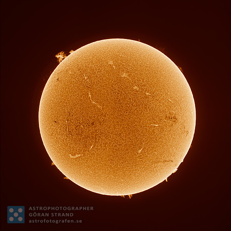 The Sun