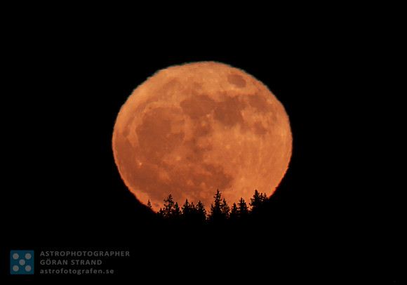 Full moon rising