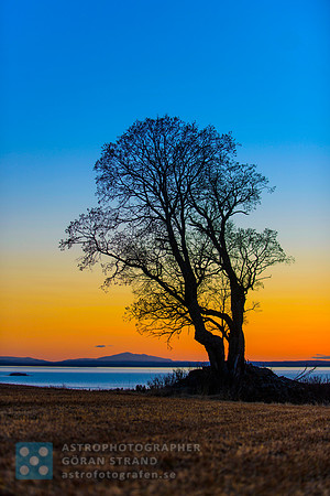 Colorful Sunset