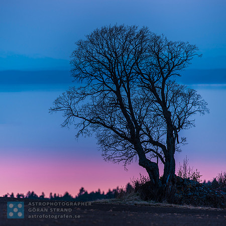 Blue sunset