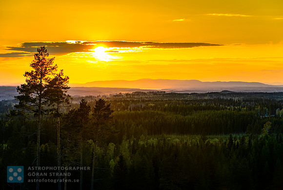 Summer sunset