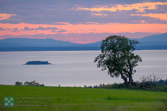 Mid summer night