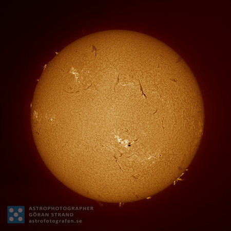 The Sun